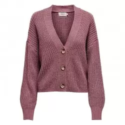 ONLY NOOS CAROL SPRING CARDIGAN Vestes Mode Lifestyle / Blousons Mode Lifestyle 1-111664
