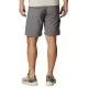 COLUMBIA SILVER RIDGE UTILITY CARGO SHORT Shorts Randonnée 1-113731