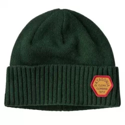 PATAGONIA BONNET BRODEO CLEAN CLIMB PATCH: PINYON GREEN Casquettes Chapeaux Mode Lifestyle 1-114646