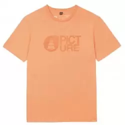 PICTURE TS BASEMENT FLOCK CAD ORANGE T-shirts Skateboard / Polos Skateboard / Chemises Skateboard 1-114838