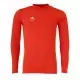 BASELAYER ML    