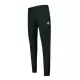 TRAINING SP PANT REGULAR N1 M SCARAB/BL    