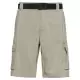 SILVER RIDGE UTILITY CARGO SHORT    