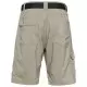 SILVER RIDGE UTILITY CARGO SHORT    