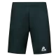 TRAINING SP SHORT N1 M SCARAB/BLACK    