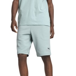 ESS 2 COLOR NO. 1 LOGO SHORTS 10 T    
