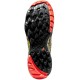 CH TRAIL AKASHA II    