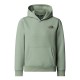 TEEN BOX NSE REGULAR PULLOVER HDIE    