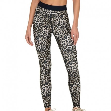 COLLANT FE GIL-2-LEO    