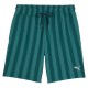 PUMA CLASS 8 SHORTS    