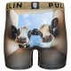 BOXER FASHION 2 COWY    