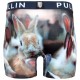 BOXER FASHION 2 BUNNYB    