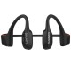 ECOUTEUR WING 2 BLACK    