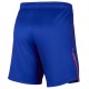 PSG M NK DF SHORT STAD HM    