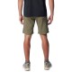 SILVER RIDGE UTILITY CARGO SHORT    