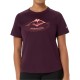 FUJITRAIL LOGO SS TOP    