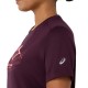 FUJITRAIL LOGO SS TOP    