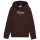 ESS SCRIPT GLITTER HOODIE FL G    