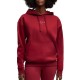 ESS SCRIPT COMFORT HOODIE FL    