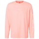 FUJITRAIL LOGO LS TOP    