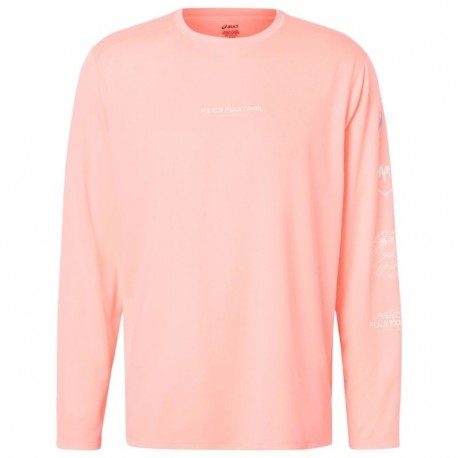 FUJITRAIL LOGO LS TOP    