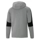 PUMA **FD EVOCORE FZ HOODY Pulls Mode Lifestyle / Sweats Mode Lifestyle 1-96876