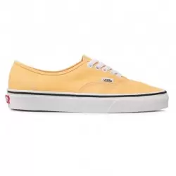 VANS UA AUTHENTIC Chaussures Sneakers 1-103348