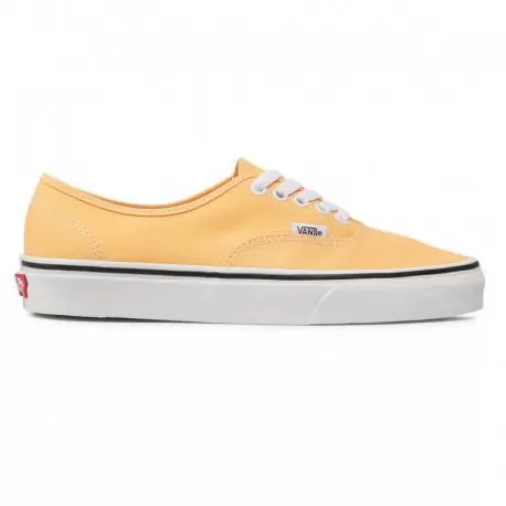 VANS UA AUTHENTIC Chaussures Sneakers 1-103348