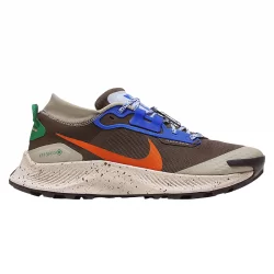NIKE NIKE PEGASUS TRAIL 3 GTX ES Chaussures Sneakers 1-105503