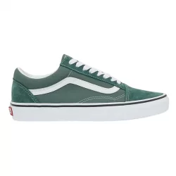 VANS UA OLD SKOOL Chaussures Sneakers 1-108214