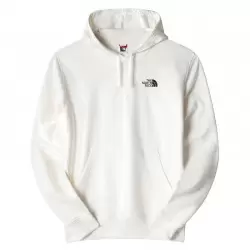 THE NORTH FACE M SEASONAL GRAPHIC HOODIE Pantalons Mode Lifestyle / Shorts Mode Lifestyle 1-111531