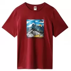THE NORTH FACE M S/S GRAPHIC TEE T-Shirts Mode Lifestyle / Polos Mode Lifestyle / Chemises Mode Lifestyle 1-111537