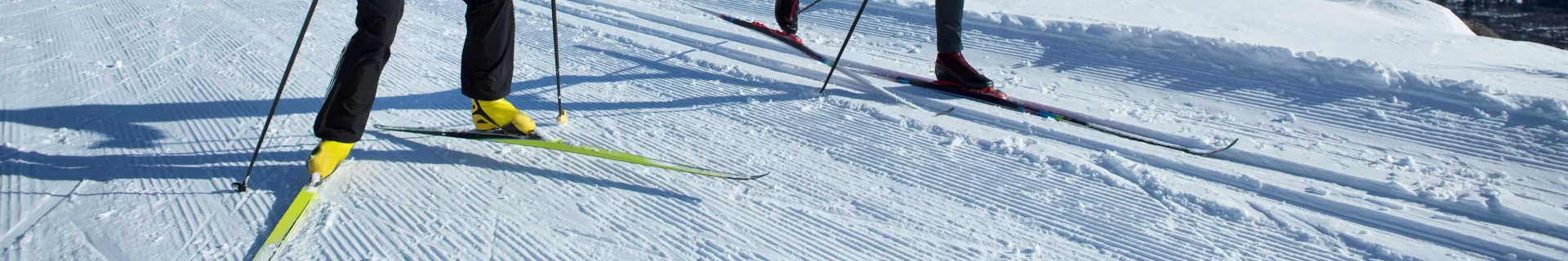 Ski de fond / Raquettes